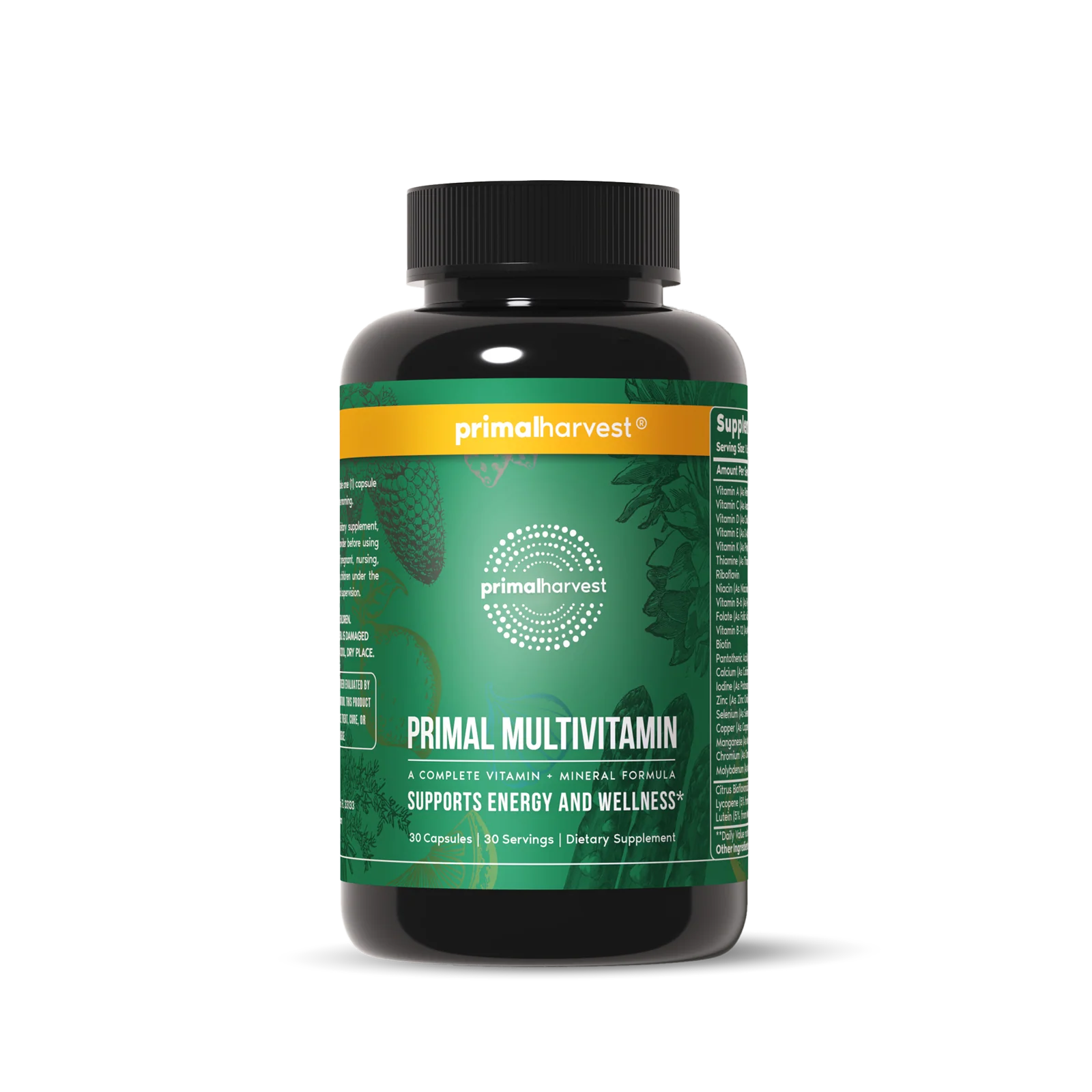 Energy & Mental Focus