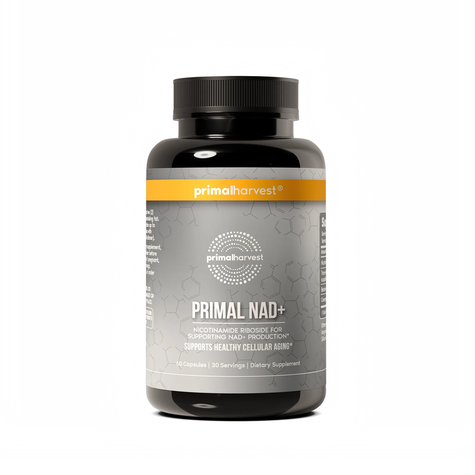 Daily Wellness Essentials